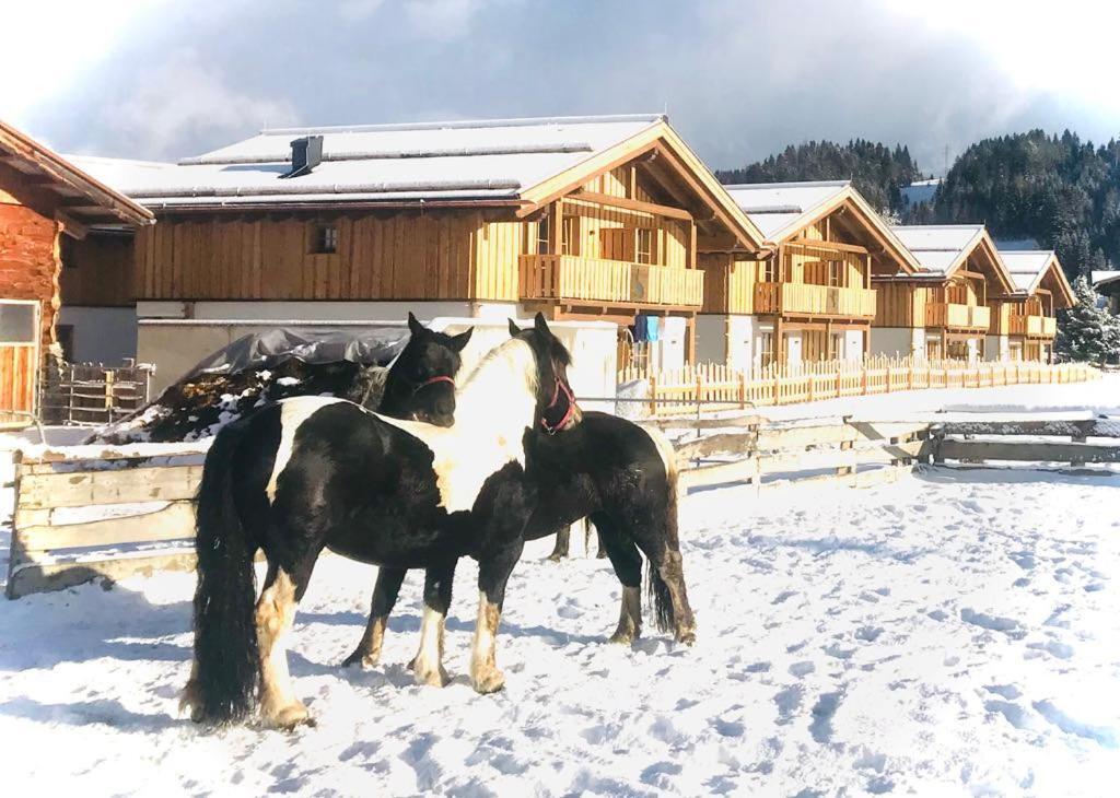 Sieglhub Chalets - Appartements - Hotel Flachau Exterior photo