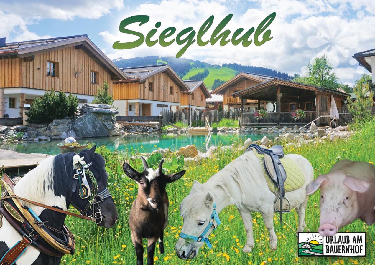 Sieglhub Chalets - Appartements - Hotel Flachau Exterior photo